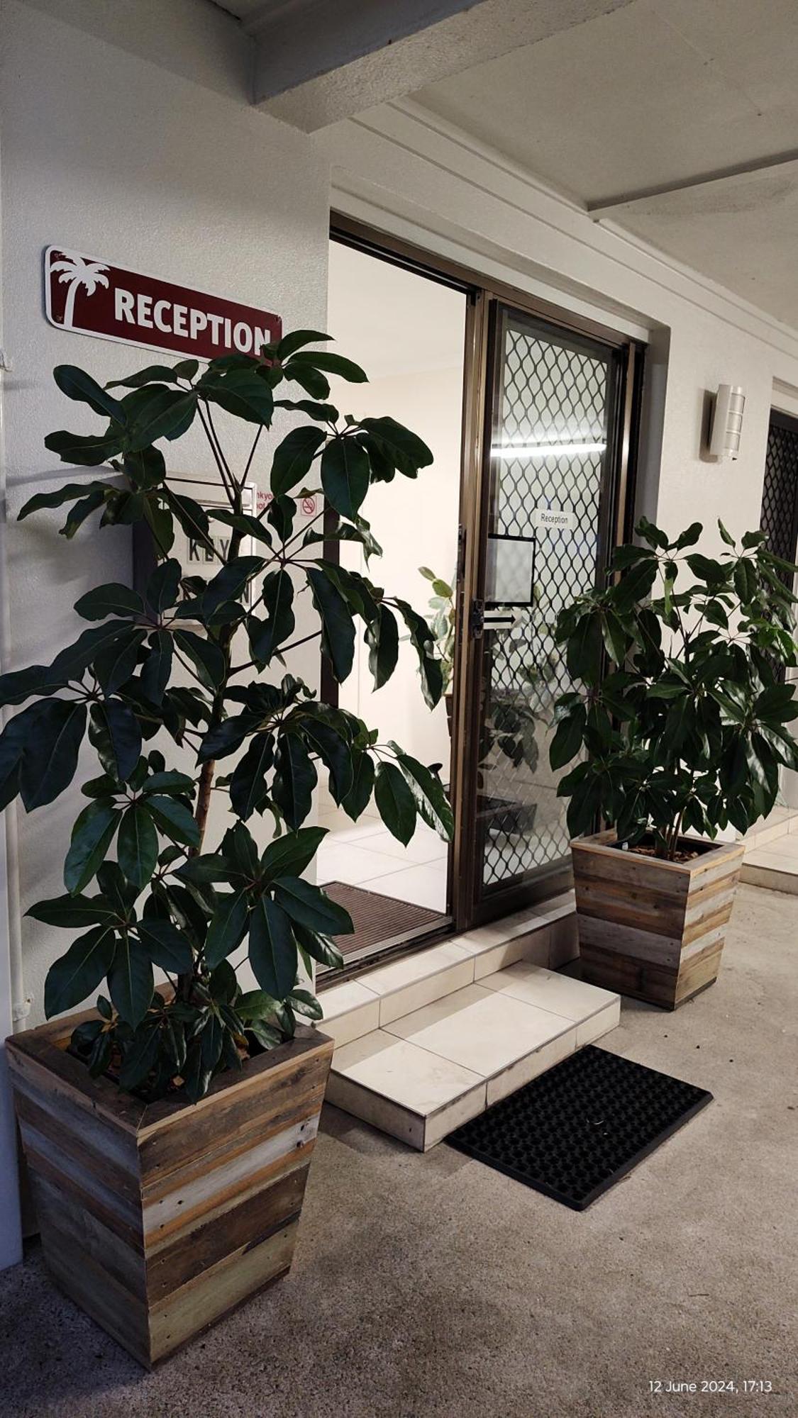 מרקולה Pacific Palms Motor Inn מראה חיצוני תמונה